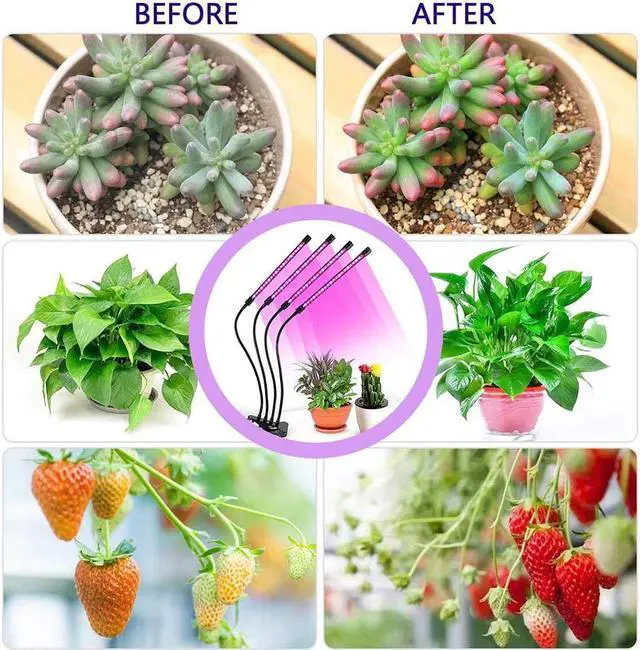 Alt view image 3 of 5 - LED Grow Light Full Spectrum 40W 80 Fitolampy For Greenhouse Vegetable Seedling Plant Lighting IR UV Growing Phyto Lamp#F