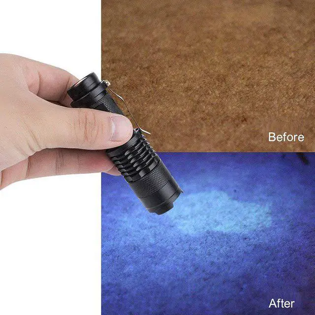 Alt view image 4 of 5 - EZK20 Dropshipping Mini Zoomable 3 Modes Scorpion UV LED Flashlight Ultraviolet Torch Money Detector Pet Urine Stains Detecto
