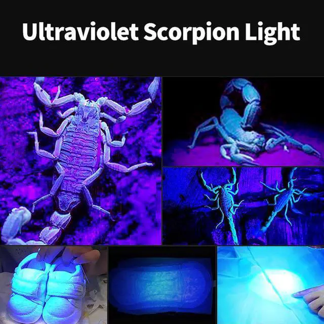 Alt view image 4 of 5 - UV Flashlight 395nm Ultraviolet Scorpion T6 Torch Ultra Violet LED Fluorescent Lamp 26650 Zoomable Waterproof Hiking