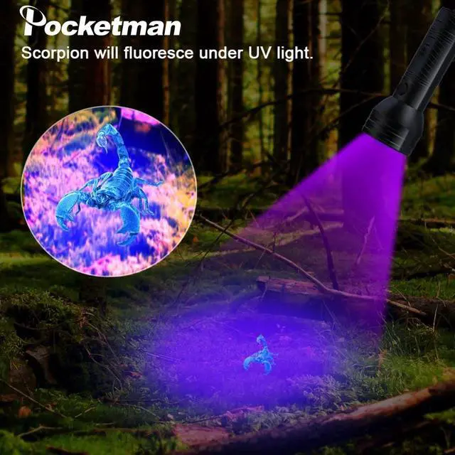 Alt view image 6 of 7 - UV Flashlight Purple Light Torch 51LED 21LED 12LED UV LED Flashlight UV Light 395-400nm LED Torch Lamp Safety UV Detection