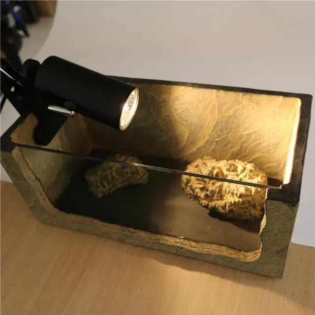 Alt view image 4 of 5 - 25W UVA&uvb lamp UV lamp for turtles fill light Calcium supply uvb-lamp uvb 3.0 lamps for reptiles ONE SET