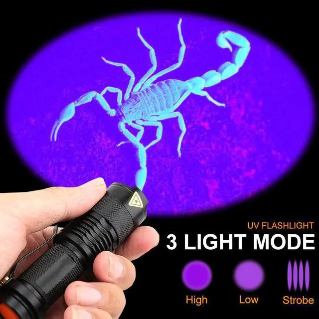 Alt view image 4 of 5 - Flashlight 365nm/395nm Ultra Violet Light Zoom Mini Black Light Pet Urine Stains Detector Scorpion Use AA 14500 battery