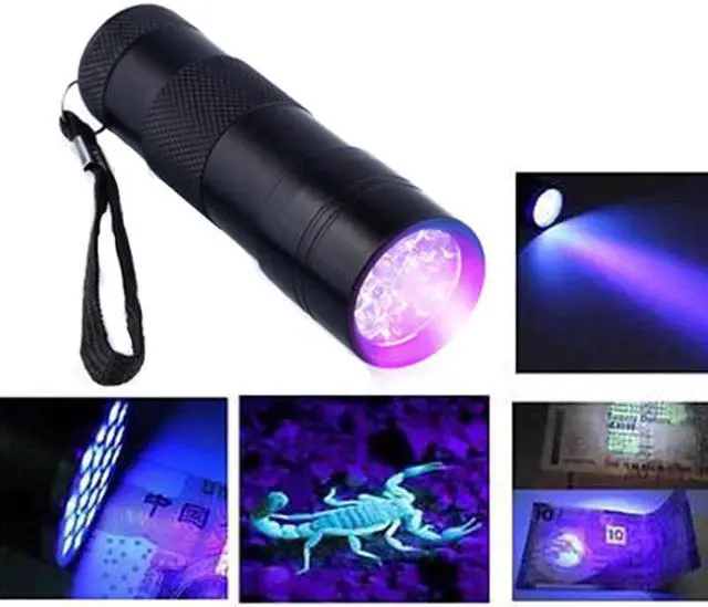 Alt view image 5 of 5 - Flashlight Mini Professional Fluorescent agent detection Torch Blacklight Detector for Pet Urine Stains Scorpion Bed Bug camp