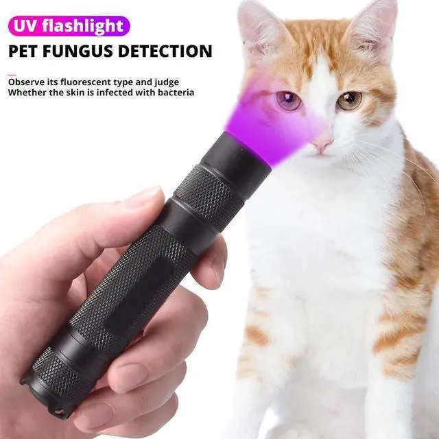 Alt view image 5 of 5 - Flashlight 365nm Ultra Violets mini Ultraviolet Lanterna IP65 Waterproof Invisible Torch for Pet Stains Use 18650 EDC Light