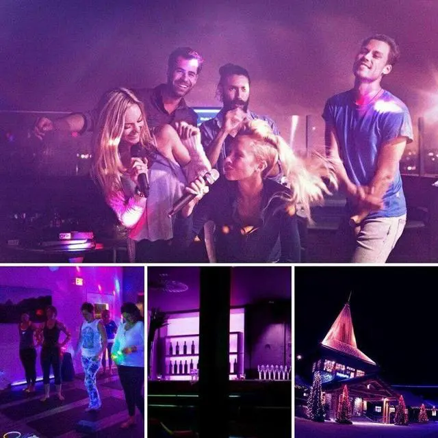 Alt view image 4 of 5 - 12LED Easy Use UV Black Integrated DJ Disco Stage Light Bar Halloween Blacklight With Rack Christmas Party Home Decor Body Paint