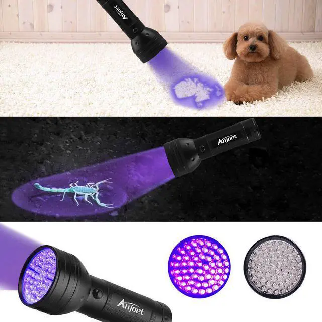 Alt view image 3 of 5 - UV Flashlight Black Light,  21 51 100 LED 395 nM Ultraviolet Torch Blacklight Detector for Dry Pets Urine&Pet Stains&Bed Bug