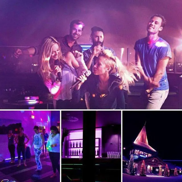 Alt view image 3 of 5 - 12LED Christmas Party Home Decor Easy Use UV Black Night Lamp DJ Disco Integrated Blacklight Club Bar Stage Light With Rack