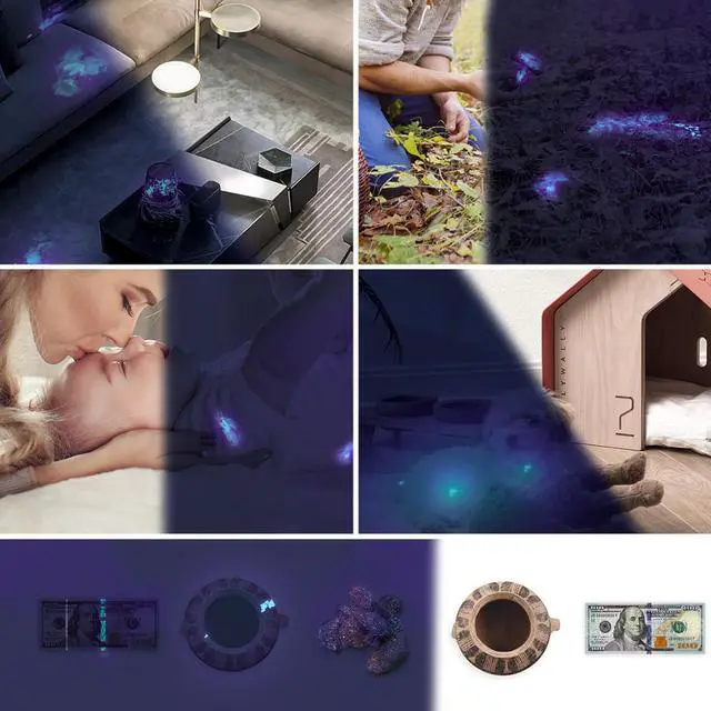 Alt view image 5 of 5 - LED UV flashlight Ultraviolet Torch 365nm UV Light 850mW max output AAA battery light for Pet Urine Stains detection