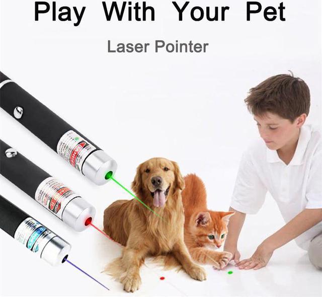 Funny Cat Laser Light Pen Best Presentation Portable Mini Laser Pointer  UV/Red/Green Laser Pointer Pen Play With Pet Flashlights & Lanterns -  