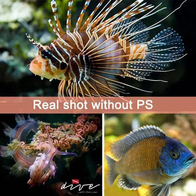 Alt view image 5 of 5 - D35VP II warm white diving photograph lights UV Red HD diving video light diving lighting flashlight Underwater 100m fill lights