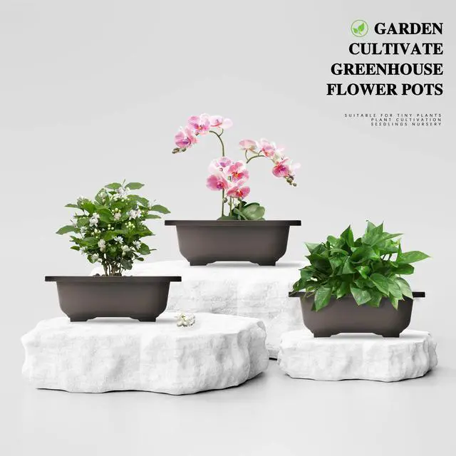 Alt view image 3 of 6 - QLEE Rectangle Archaizing Brown Plant Pot With Drainage Plastic Nursery Pots For Desktop Café Windowsill Living Room Balcony Library Reading Area Hotel Lobby Planters For Indoor Plants 5 Pcs