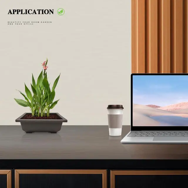 Alt view image 6 of 6 - QLEE Rectangle Archaizing Brown Plant Pot With Drainage Plastic Nursery Pots For Desktop Café Windowsill Living Room Balcony Library Reading Area Hotel Lobby Planters For Indoor Plants 5 Pcs