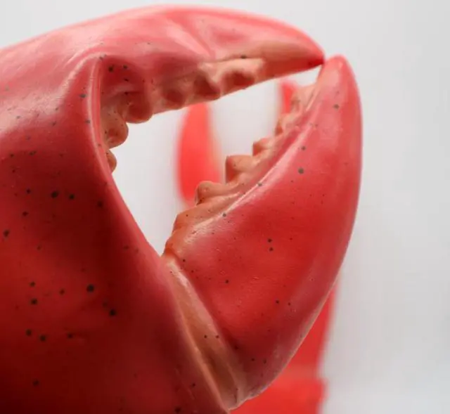 Alt view image 3 of 3 - Halloween funny costume props animal latex gloves film and television tools lifelike scorpion shrimp crab claw props