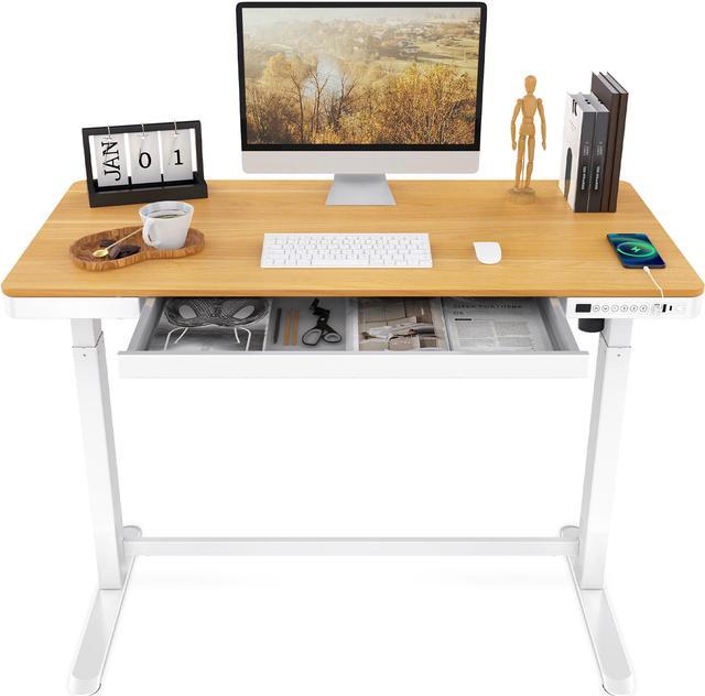 FLEXISPOT Home Office Electric Height Adjustable Standing Desk 48 x 30  Memory Programmable Presets Computer Desk (White Frame+ White Top) 