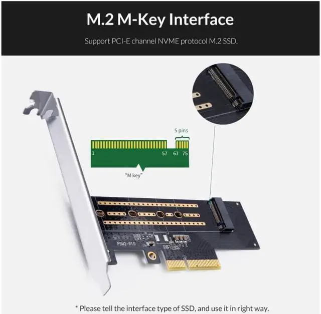 Main image of Weastlinks PCI-E PCI Express 3.0 Gen3 X4 to M.2 M KEY SSD M2 Key Interface Card For PCI Express 3.0 x4 2230 2242 2260 2280 Size