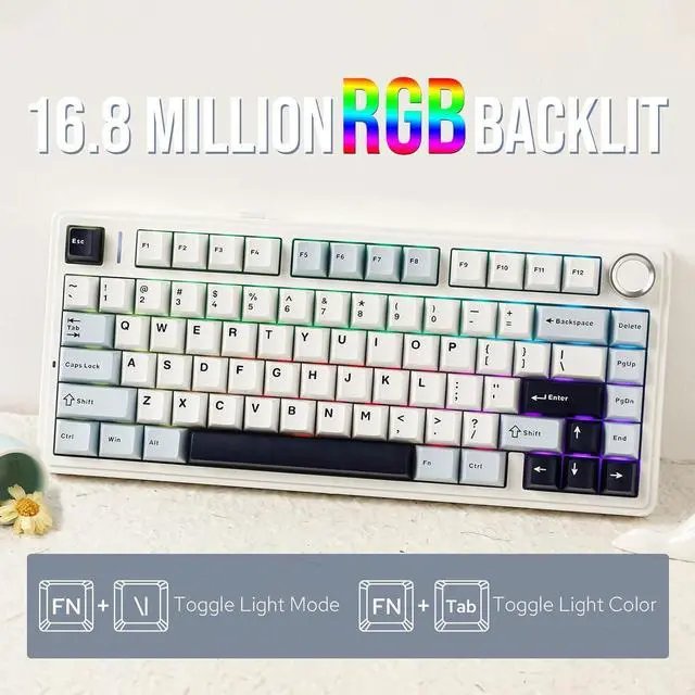 Alt view image 5 of 7 - F75 Gasket Mechanical Keyboard, 75% Wireless Hot Swappable Gaming Keyboard with Five-Layer Padding&Knob, Bluetooth/2.4GHz/USB-C, RGB (Light Blue, LEOBOG Reaper Switch)