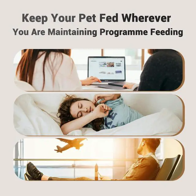 Alt view image 6 of 7 - Dual Automatic Cat Feeder: Cat Feeder Automatic for 2 Cats- Timed Auto Feeder 16 Cups/4L Cat Food Dispenser& Dual Power Auto Pet Feeder for Indoor Cat&Dog| 1-6 Meals Portions Control, Black