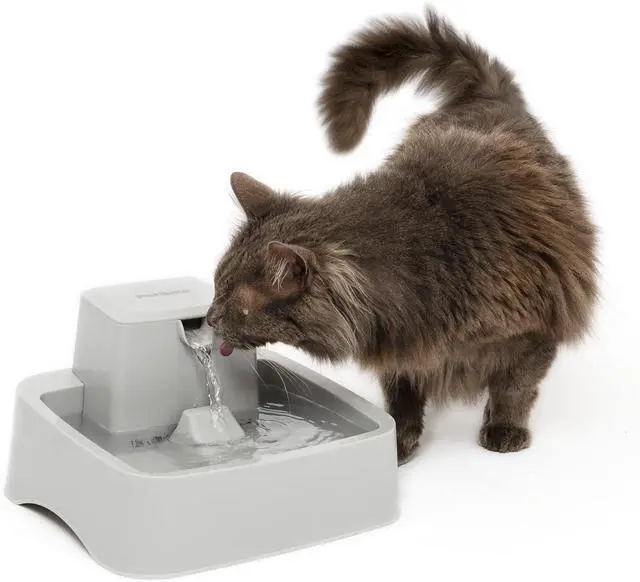 Main image of PetSafe Oasys Pet Fountain, 1/2 Gallon (64 oz), Small Dogs & Cats | Adjustable Water Flow, Whisker-Friendly Tray, Dishwasher-Safe, Replaceable Carbon & Foam Filters Included