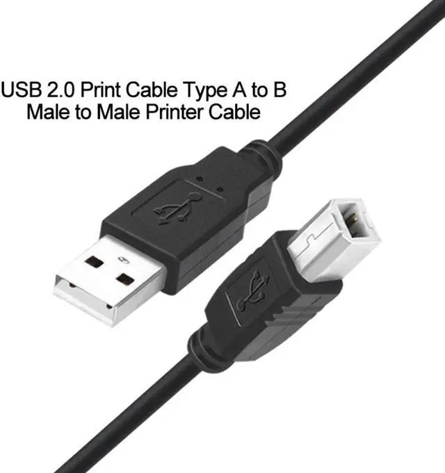 Alt view image 3 of 3 - USB 2.0 Print Cable USB Type A To B Male To Male Printer Cable  for Canon Epson HP ZJiang Label Printer DAC USB Printer