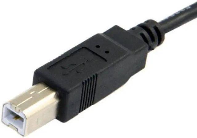 Alt view image 4 of 5 - CY USB-C USB 3.1 Type C Male Connector to USB 2.0 B Type Male Data Cable for Cell Phone & Macbook & Laptop UC-005-1.0M