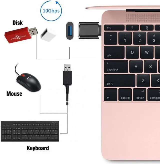 Alt view image 4 of 5 - Jimier 10Gbps USB-C Type-C to USB 3.0 Female OTG Adapter for Laptop Tablet Phone Disk Mouse Keyboard