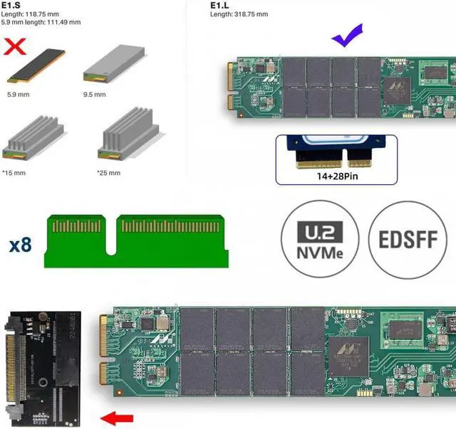 Alt view image 4 of 7 - Cablecc U.2 SFF-8639 Host Adapter to NVMe Ruler 1U GEN-Z EDSFF 2C 8X Short SSD PM983 E1.L Carrier Adapter