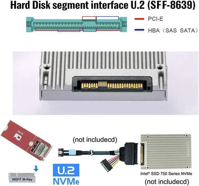 Alt view image 7 of 7 - Chenyang PCI-E 5.0 4.0 M.2 M-key to MCIO Mini Cool Edge IO Female Host Adapter for PCIe Nvme SSD 2280 2230
