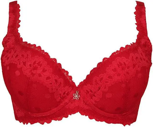 Main image of Sunna Character Underwire Bra/Push Up Bra/Shaper Bra/Lace Bra/T Shirt Bra/for Back and Side Support-1271-RD-32D