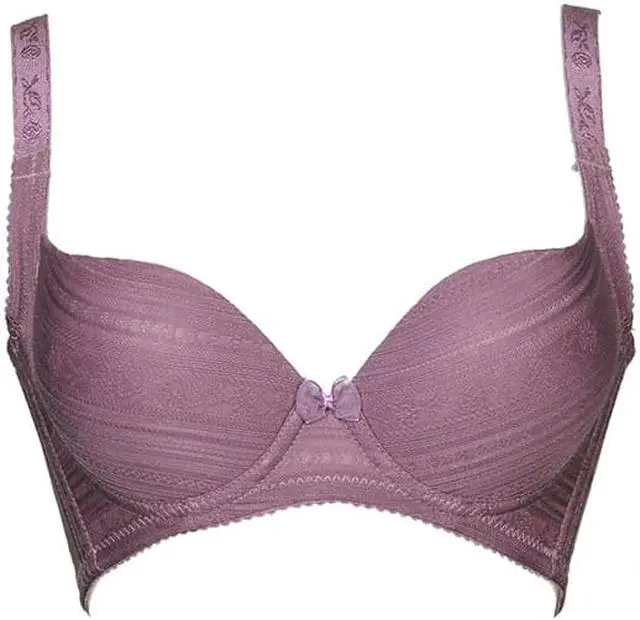 Main image of Sunna Character Underwire Bra/Push Up Bra/Shaper Bra/Lace Bra/T Shirt Bra/for Back and Side Support-5065-PU-32C