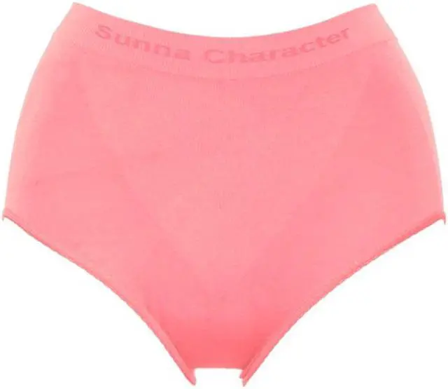 Main image of Sunna Character High-Waist Underwear with Bamboo Charcoal Fabric - 2 pairs-1065-PEA_2Pair