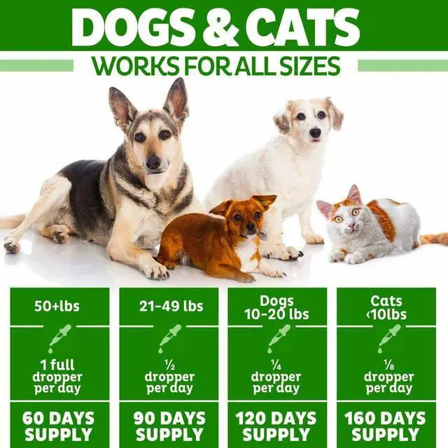 Alt view image 5 of 6 - Hemp Oil for Dogs Cats Pets 200000mg - Calming Drops -100% Organic