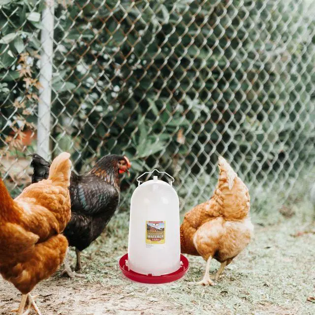 Alt view image 6 of 6 - 7906 3-Gallon Heavy-Duty Plastic Gravity Fed Poultry Waterer