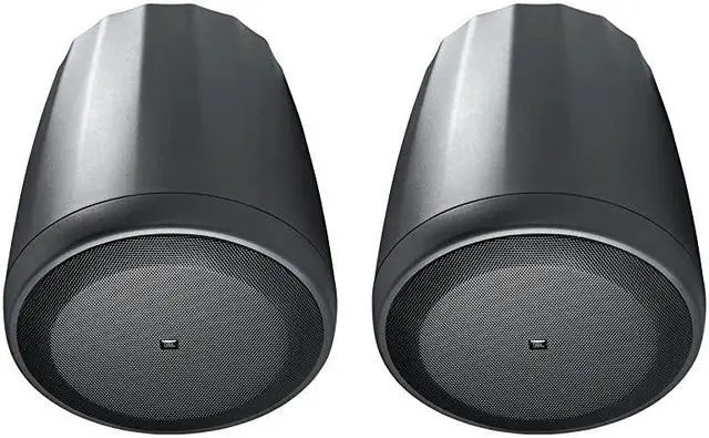 Main image of C65P/T Compact Full-Range Hanging Pendant Speaker, Black, Sold as Pair