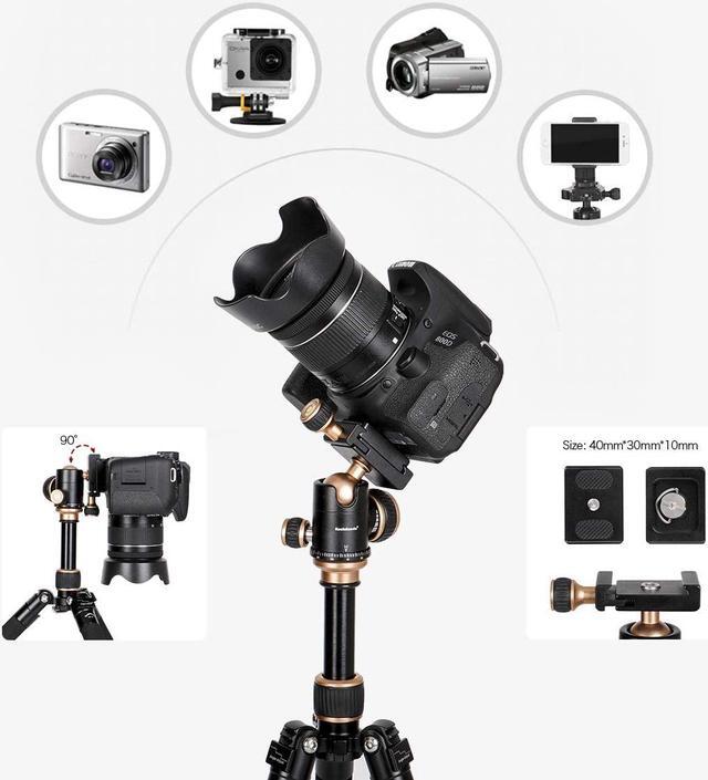 Alt view image 3 of 6 - Koolehaoda Portable Tabletop Mini Tripod,Height Adjustable 8-20inch,Compact Desktop Macro Mini Tripod with Carrying Bag,Weight only 1.5lbs / 0.68kg(KQ-155 Mini Tripod)