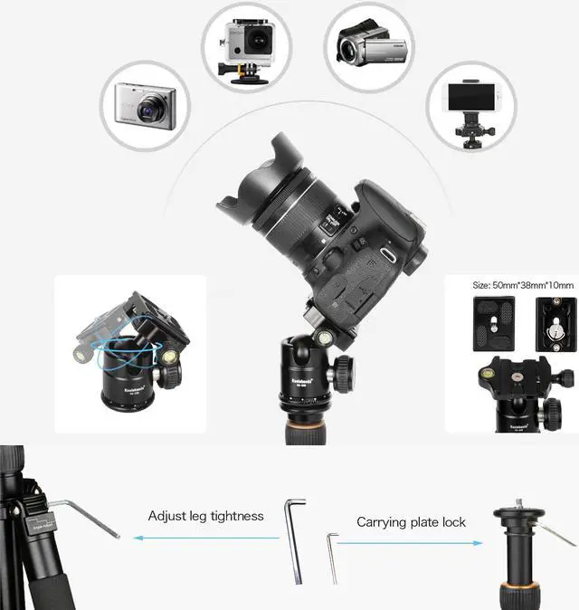 Alt view image 4 of 6 - Koolehaoda Portable Tabletop Mini Tripod with Ball Head,Height Adjustable 9-21.5inch, Compact Desktop Macro Mini Tripod with Carrying Bag for DSLR Camera (KQ-166)