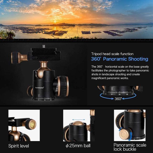 Alt view image 6 of 6 - Koolehaoda Portable Tabletop Mini Tripod,Height Adjustable 8-20inch,Compact Desktop Macro Mini Tripod with Carrying Bag,Weight only 1.5lbs / 0.68kg(KQ-155 Mini Tripod)