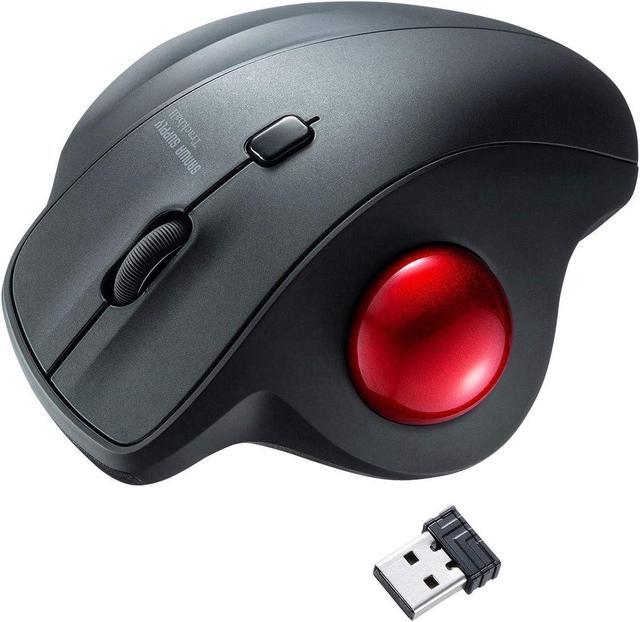 SANWA 2.4G Wireless Ergonomic Trackball Mouse - Vertical Silent Mouse, 34mm Ball, 4 DPI Settings