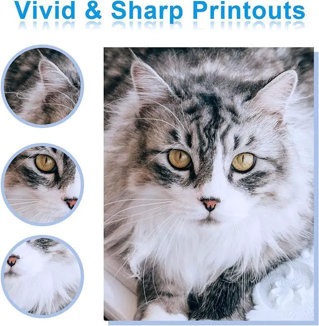 Alt view image 5 of 7 - Miss Deer LC3039 LC3039XXL Ink Cartridges Replacement  LC3039 XXL LC-3039BK LC3037 LC3037BK,Work  MFC-J5945DW MFC-J6945DW MFC-J5845DW MFC-J6545DW(4 Pack)