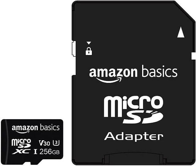   Basics Micro SDXC Memory Card with Full Size