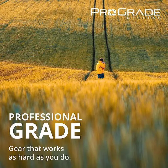 Alt view image 2 of 7 - Type B and SD UHS-II Dual-Slot Memory Card Reader by ProGrade Digital | USB 3.2 Gen 2 for Professional Filmmakers, Photographers & Content Creators