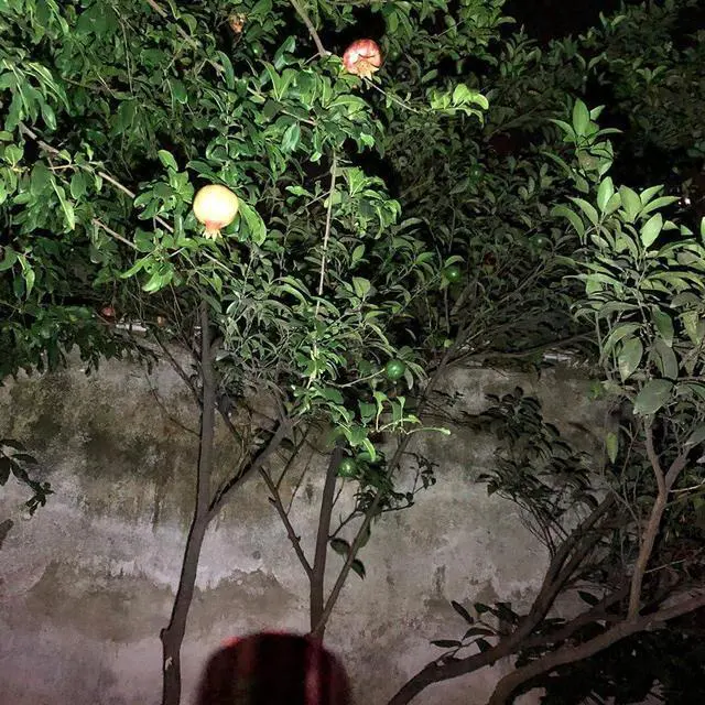 Alt view image 7 of 7 - Small Mini Flashlights Pack of 30 Assorted Colors New Type Cob Light With Battery