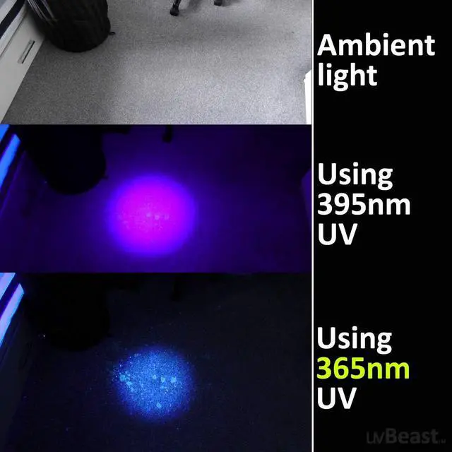 Alt view image 5 of 7 - V3 365nm Black Light UV Flashlight  High Definition Ultraviolet - HIgh Power and Long Range Professional Grade Beam Best for Professional/Commercial Use  USA Stock