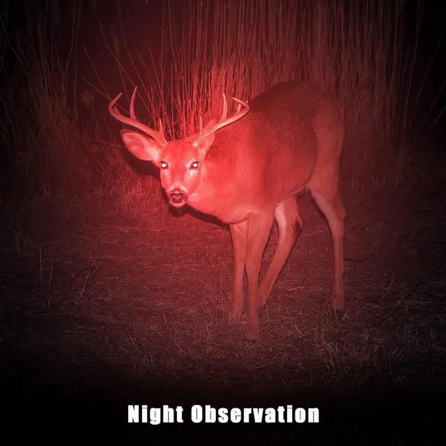 Alt view image 6 of 7 - Honoson 2 Pieces Red Flashlight LED Single Mode Light One Mode LED Torch Scalable Red Light Flashlight for Astronomy Aviation Night Observation