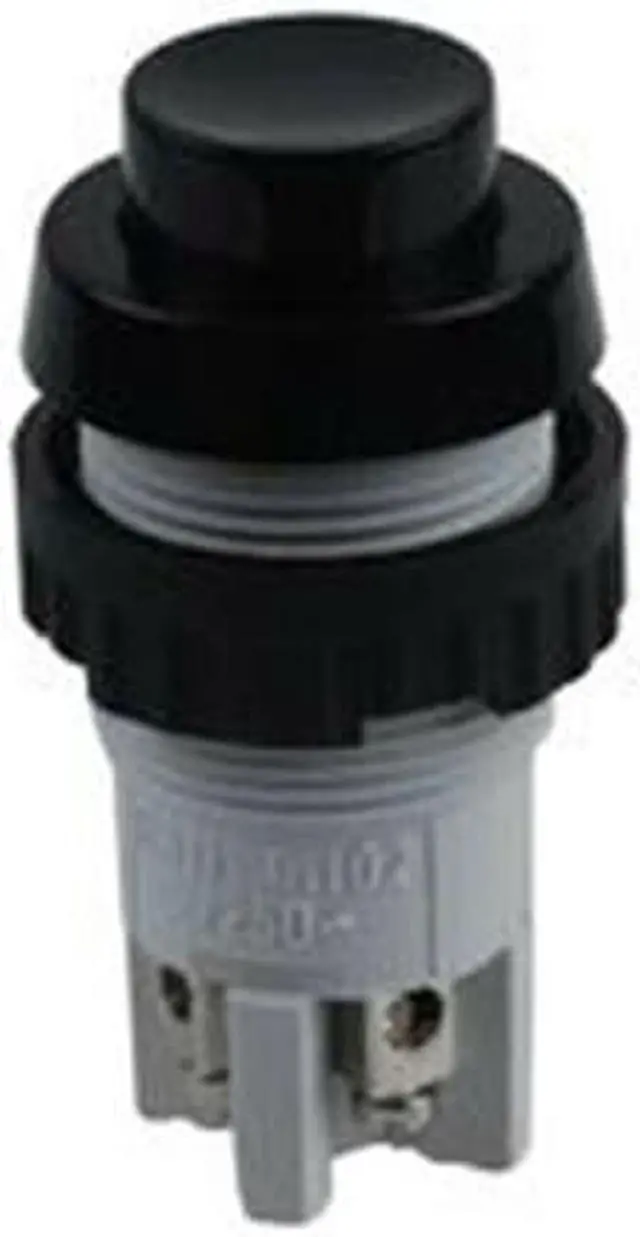 Main image of Rafi 1.01.102.011/0104 Switch, Pushbutton, 2A, 250Vac, Screw