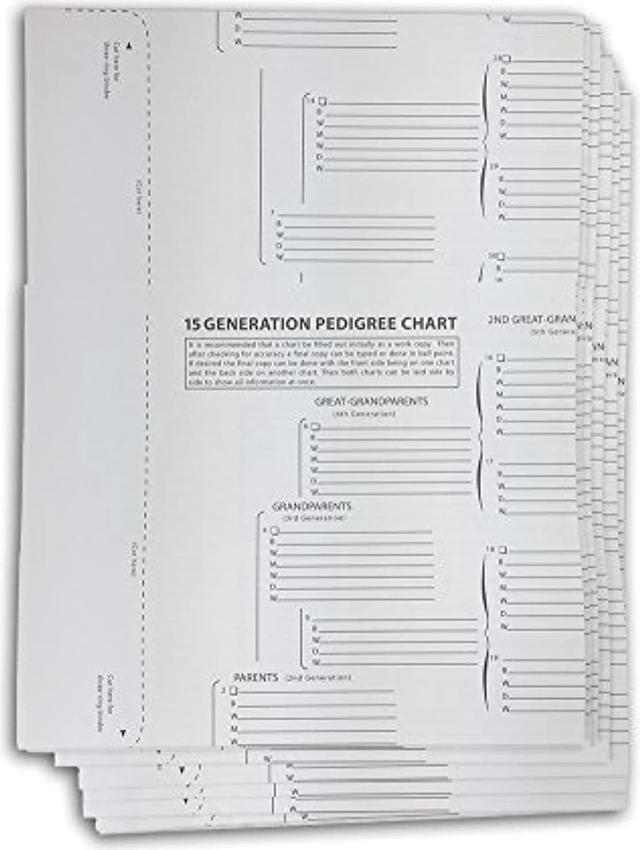 TreeSeek® 15 Generation Pedigree Chart | 5 Pack | Blank Genealogy Forms for  Family History and Ancestry Work