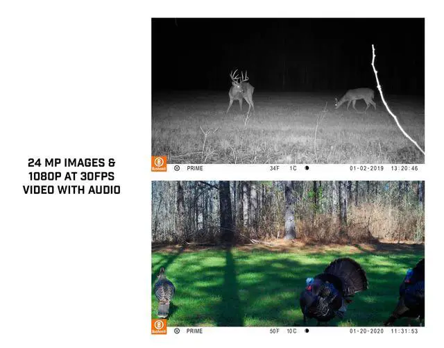 Alt view image 5 of 6 - Prime Low Glow Trail Camera - 24MP Image Quality, 1080p HD Video, Advanced Sensor Technology for Clear Nighttime Captures, Brown