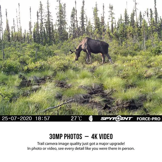 Alt view image 4 of 7 - FORCE-PRO Trail Camera 30MP Photo 4K HD Video w/ 54 Low-Glow LEDs for Image Quality Day or Night, 90 Flash Range, 110 Detection Range, LCD Setup Screen | NON-Cell cameras for hunting