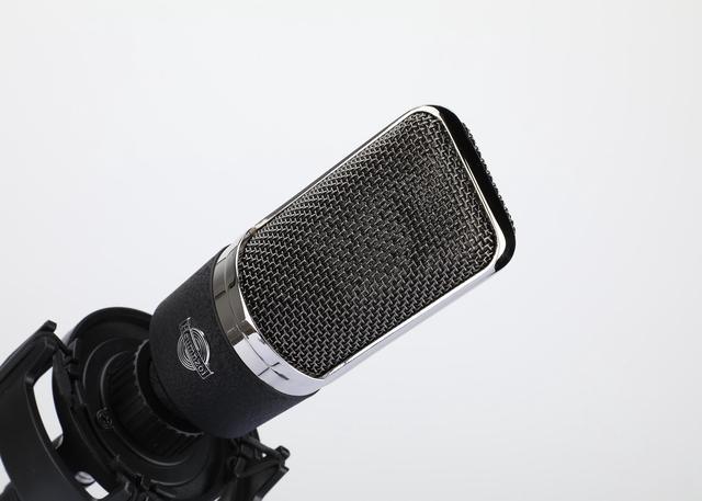 Heumnzoi EP-101L Condenser Microphone Computer Microphone Studio Condenser  Microphone Kit with Shock Absorber, Desktop Stand and Cable. For Games,