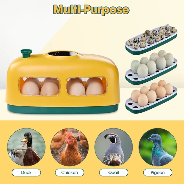 Alt view image 6 of 7 - Yescom 8 Egg Incubator Digital Poultry Hatcher Temperature Control Chicken Quail LED