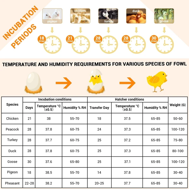 Alt view image 7 of 7 - Yescom 8 Egg Incubator Digital Poultry Hatcher Temperature Control Chicken Quail LED